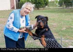 Sept 2015 Healthy Companions oversized dog w woman