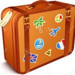 June 2016 NAPS vacation suitcase