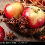 dec-2016-apple-feature